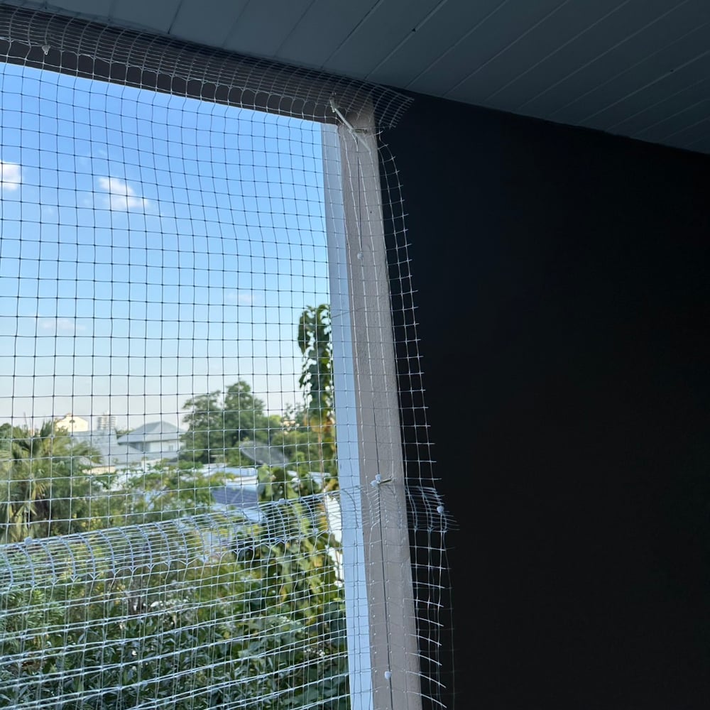 Le Nice Condo Bird Poop Cleaning Rescue