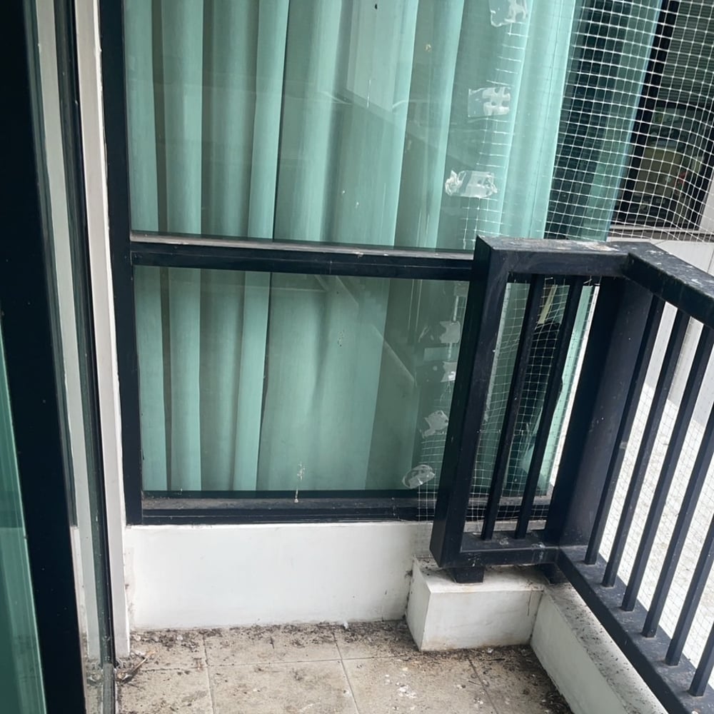 D65 Condo Balcony Revival from Pigeon Poop Nightmare