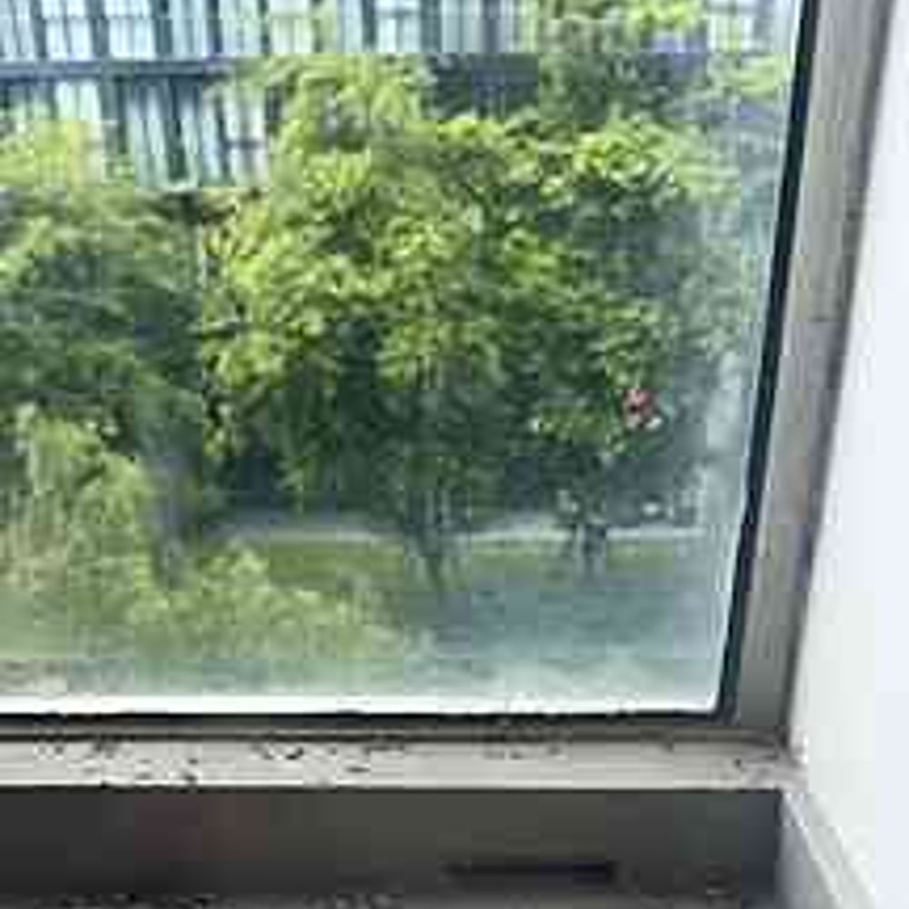 Condo Pleinjit's Bird Poop Balcony Rescue