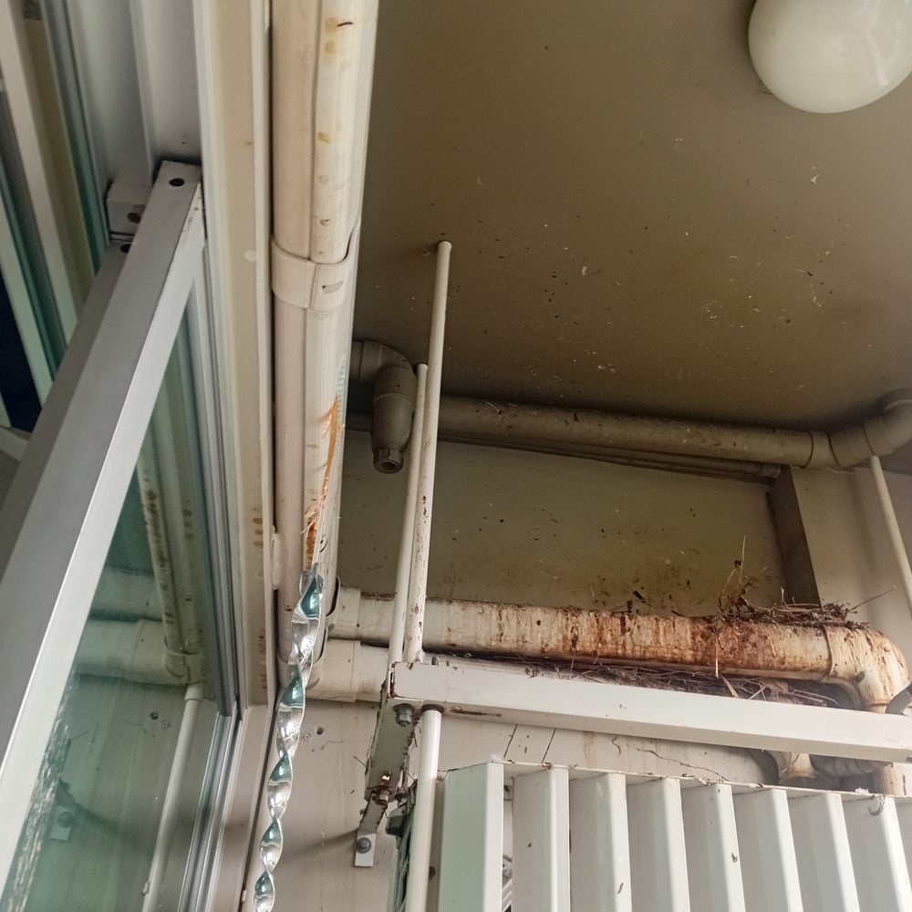 Our Team Sanitizes Lumphini View Condo Balcony from Bird Poop