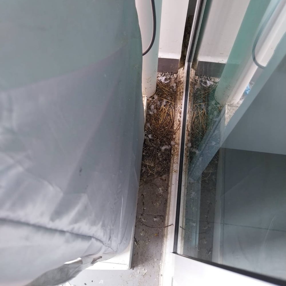 Transforming Talat Phlu Balconies from Bird Poop Nightmare to Sparkling Clean