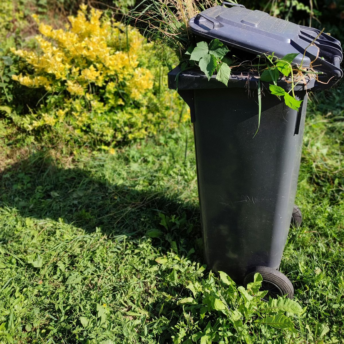 Remove Garden Waste Without Lifting a Finger Service