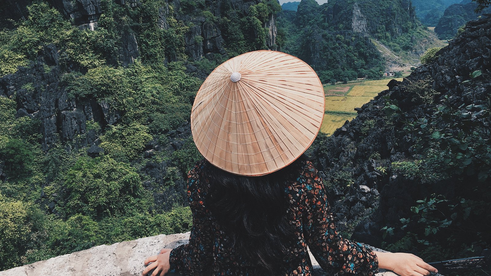 Vietnam E-Visa allowed countries