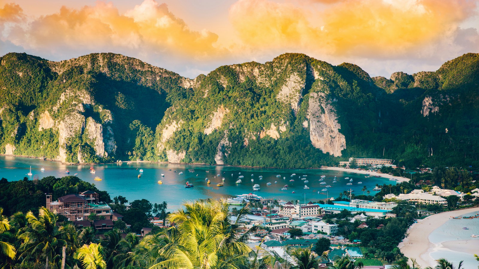 Is the DTV Visa Right for You? Here's How to Know