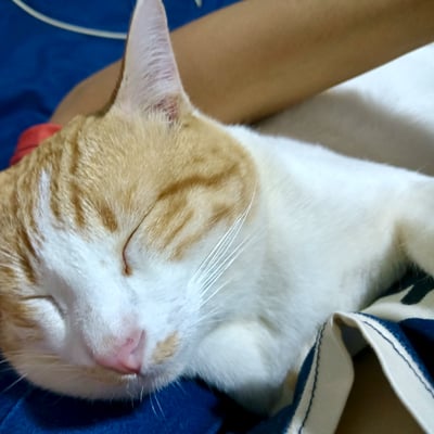 คนใน Chon Buri