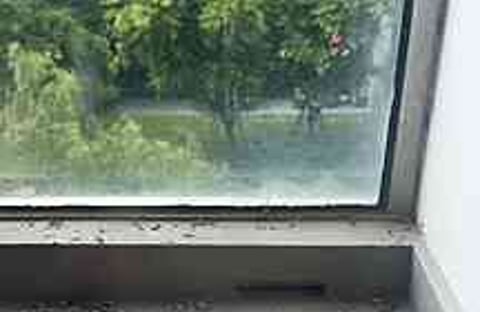 Condo Pleinjit's Bird Poop Balcony Rescue