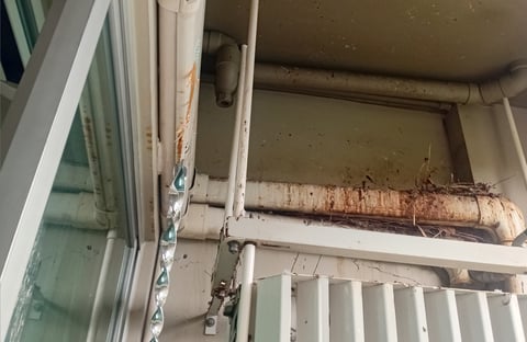 Our Team Sanitizes Lumphini View Condo Balcony from Bird Poop