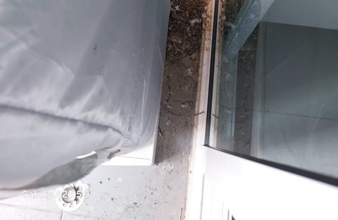 Transforming Talat Phlu Balconies from Bird Poop Nightmare to Sparkling Clean