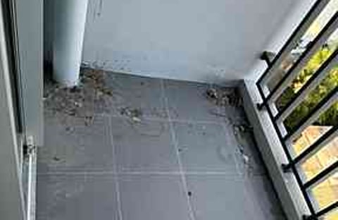 Ideo Charan 70 Balcony Rescue from Bird Poop Nightmare
