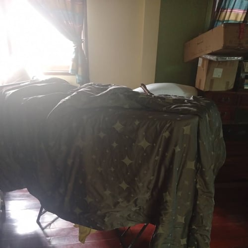 Sparkling Phaya Thai Condo Cleanup