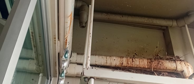 Our Team Sanitizes Lumphini View Condo Balcony from Bird Poop