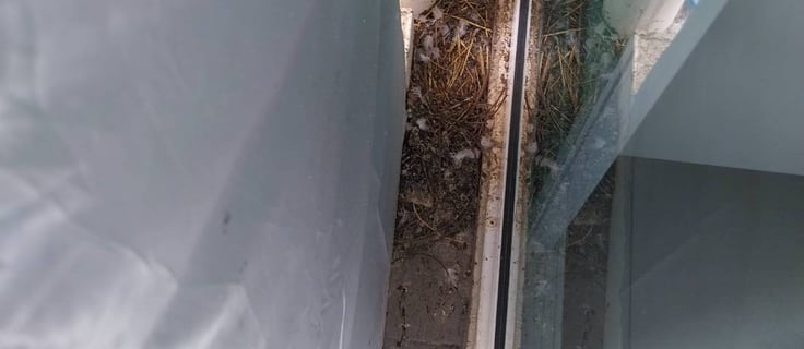 Transforming Talat Phlu Balconies from Bird Poop Nightmare to Sparkling Clean