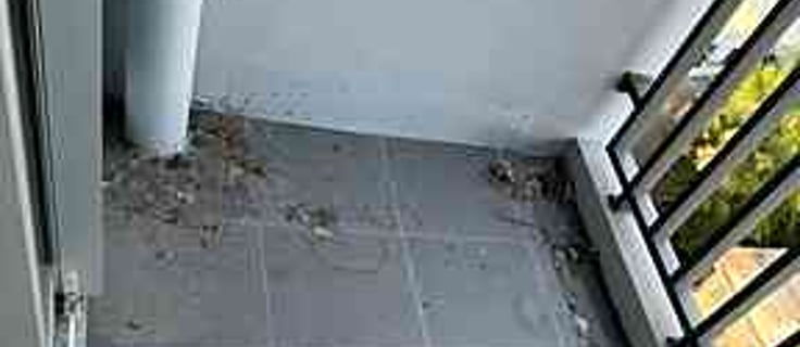 Ideo Charan 70 Balcony Rescue from Bird Poop Nightmare