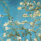 Jane Wong