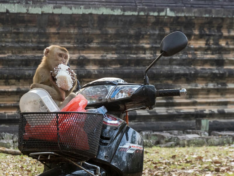 Thailand Visa Agency