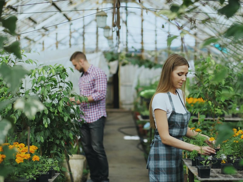 Indoor Gardening Service in HCM