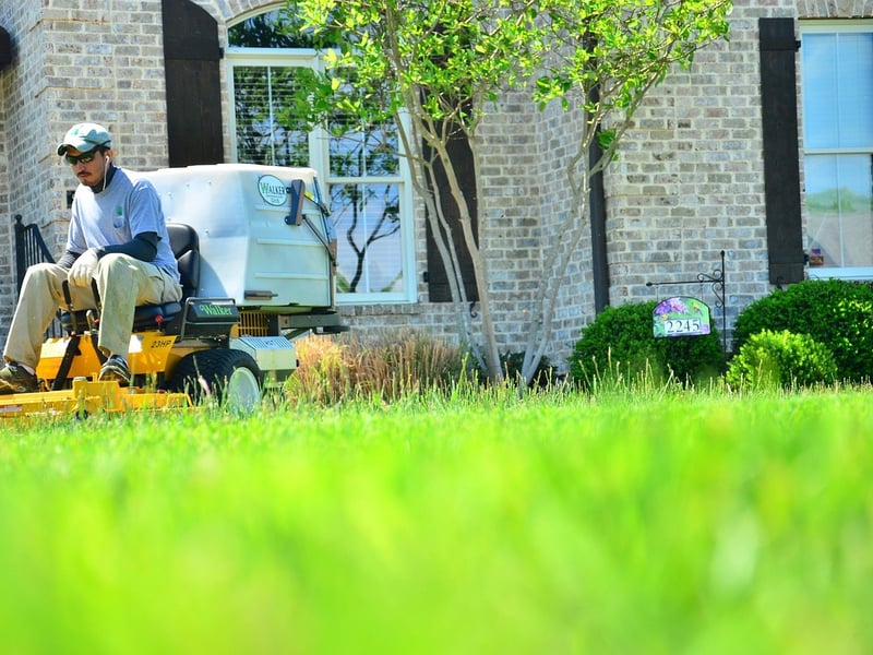 Lawn Mowing Service Near Me in HCM