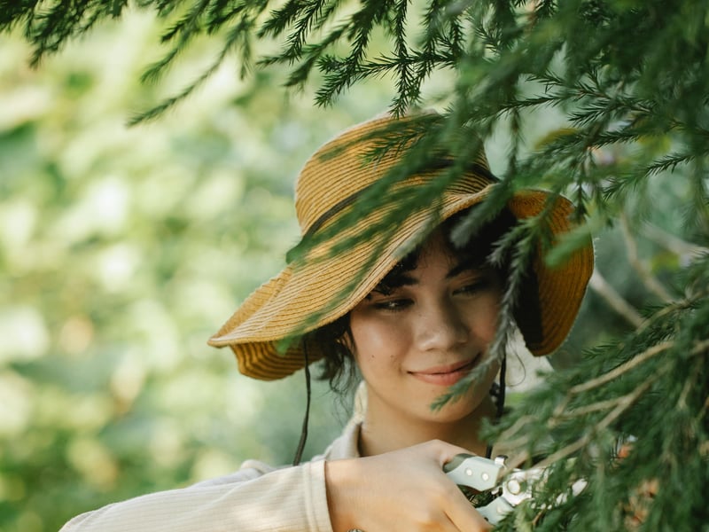 Tree Pruning and Shaping Service in HCM