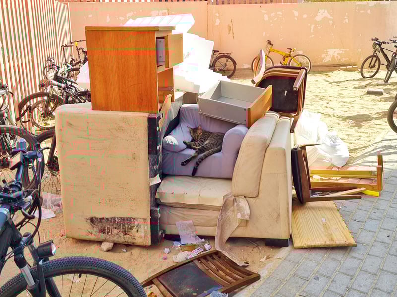 Furniture Disposal Service in HCM