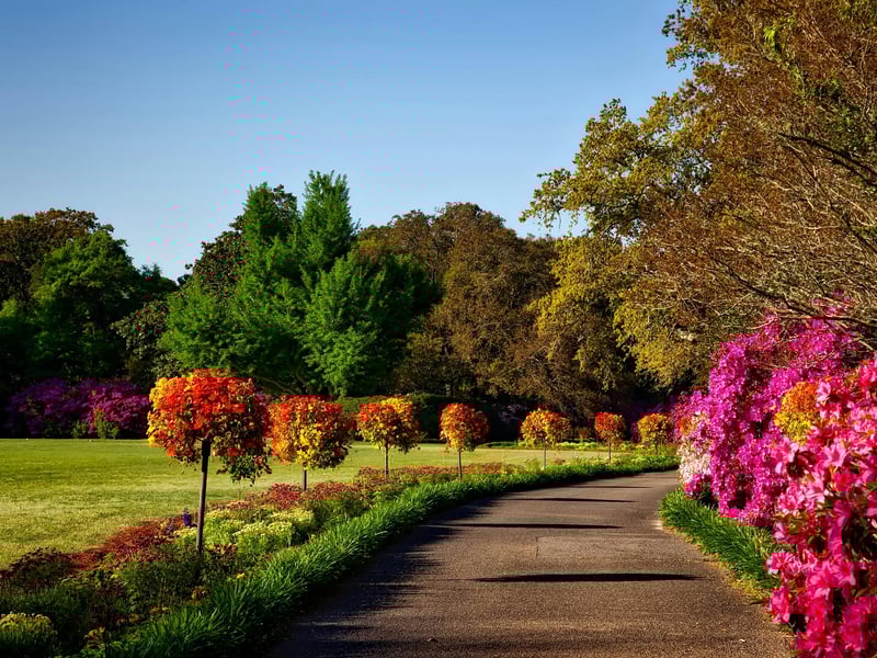 Garden Hardscaping Service in HCM