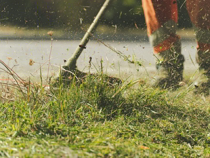 Lawn Mowing and Trimming Service in HCM