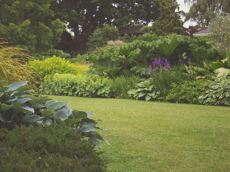 Garden Renovation and Restoration Service in HCM