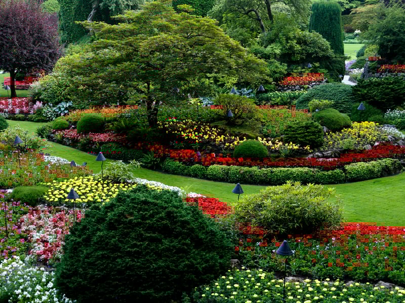 Regular Garden Maintenance Service
