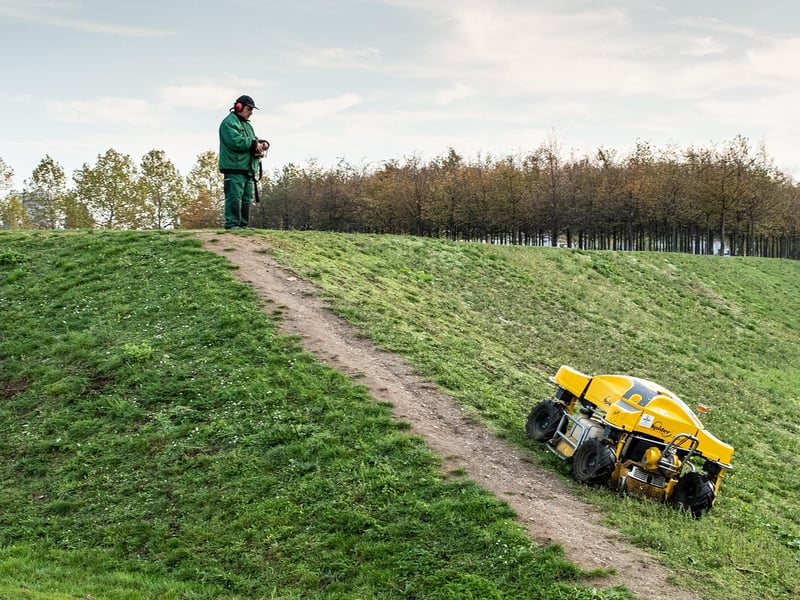Lawn Care & Grass Cutting Service
