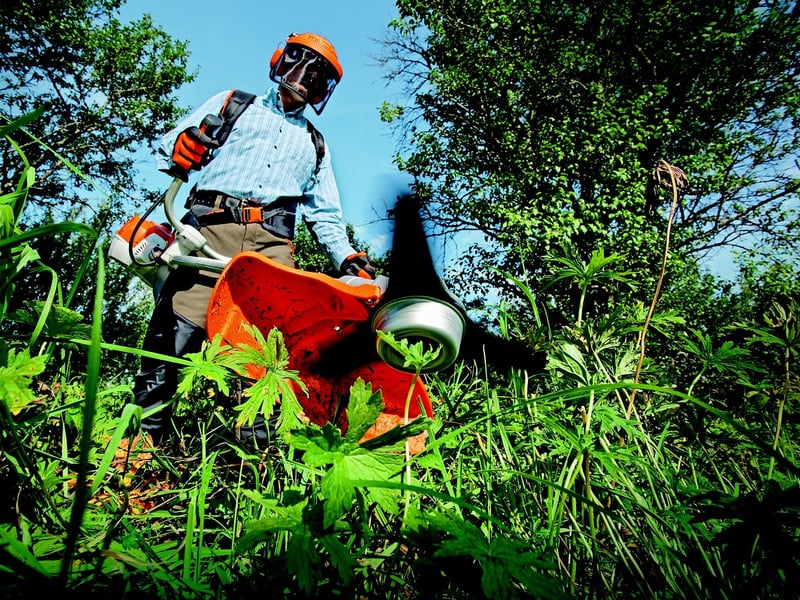 Garden Clean-up Service