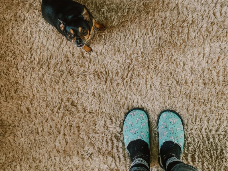 Rug Cleaning Service