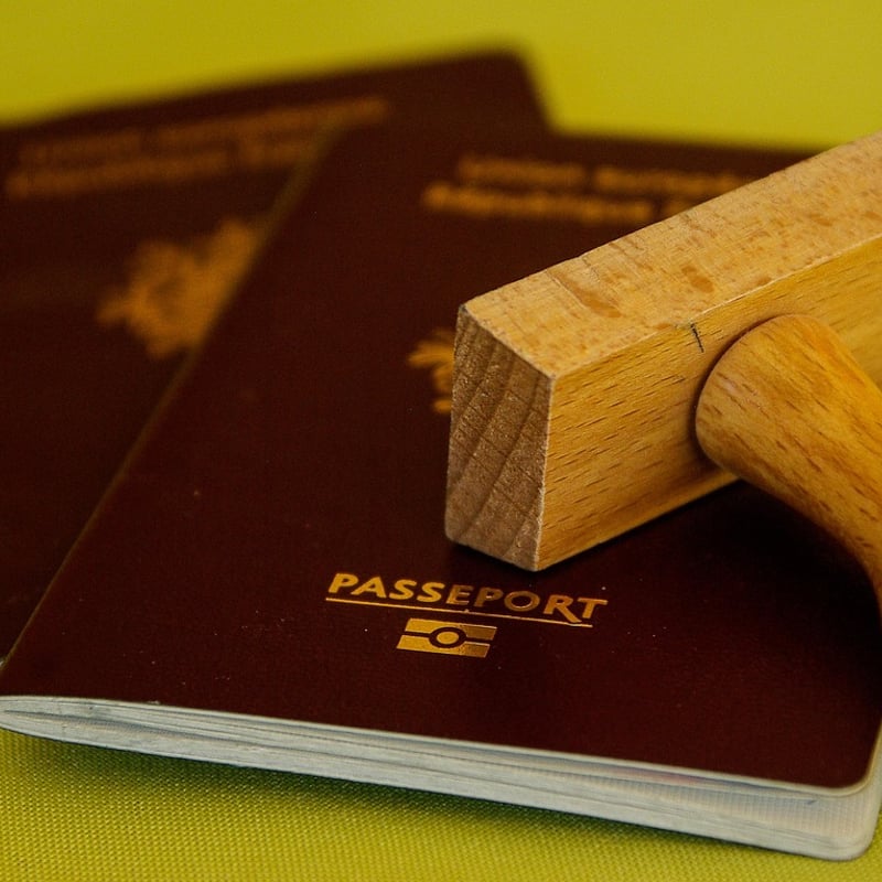 DTV Visa Rejected: Why It Happens and How to Fix It