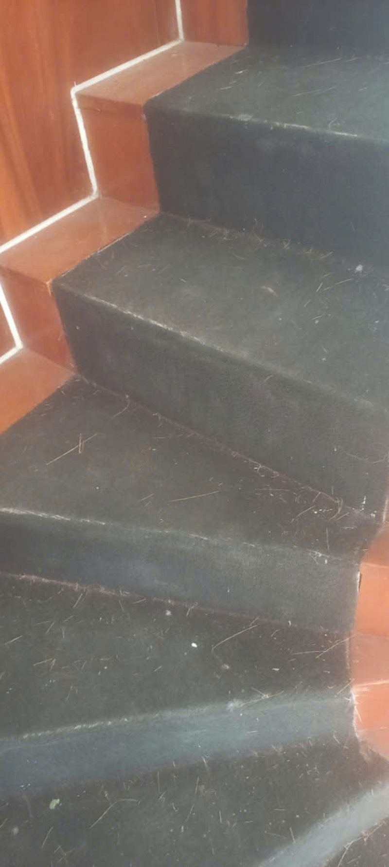 We believe that peace begins where you live.