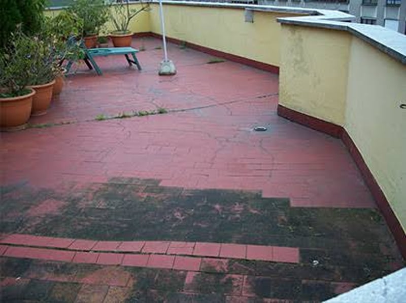 Balcony Mold and Algae Removal Service