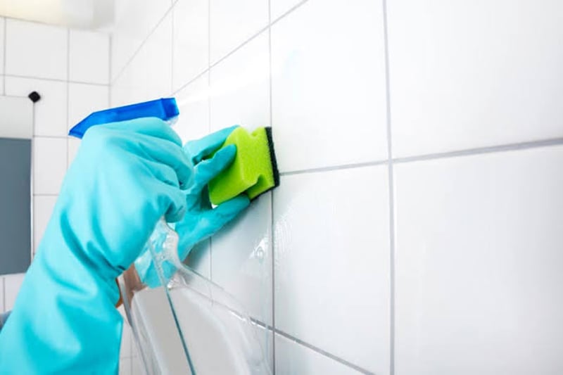 Ceiling & Wall Deep Cleaning Service