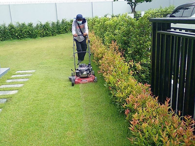 Regular Garden Maintenance Service