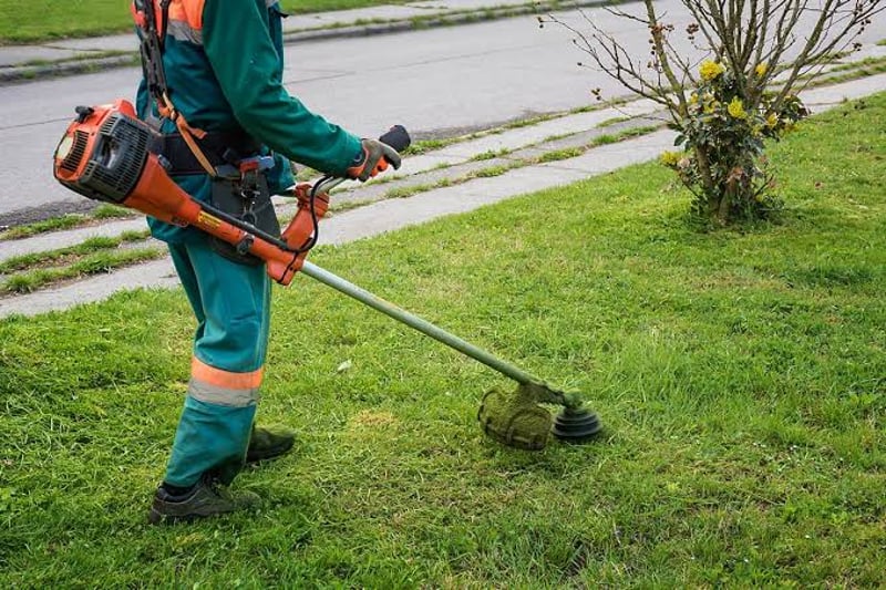 Lawn Care & Grass Cutting Service