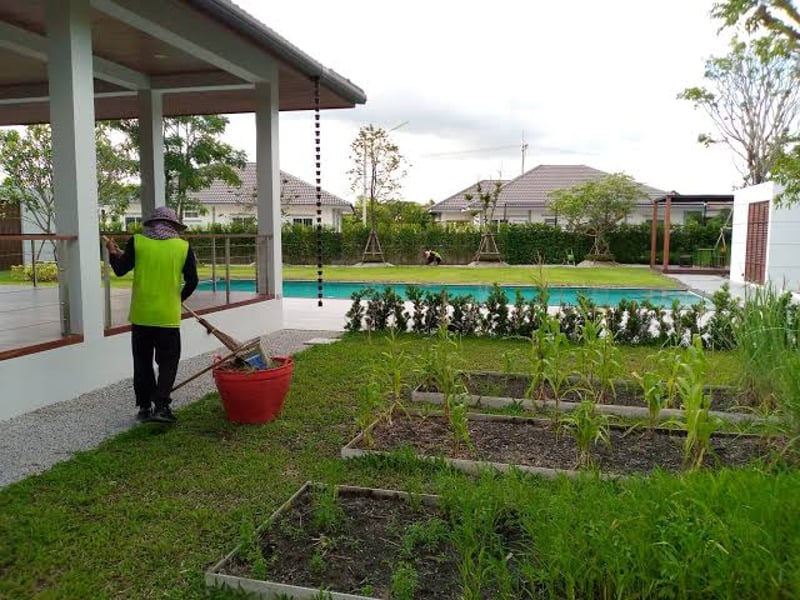 Garden Clean-up Service