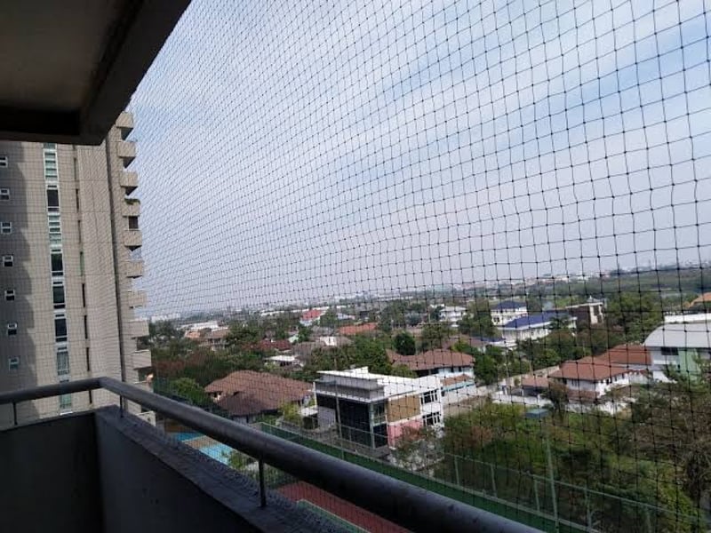 Pigeon Proofing and Netting Installation Service