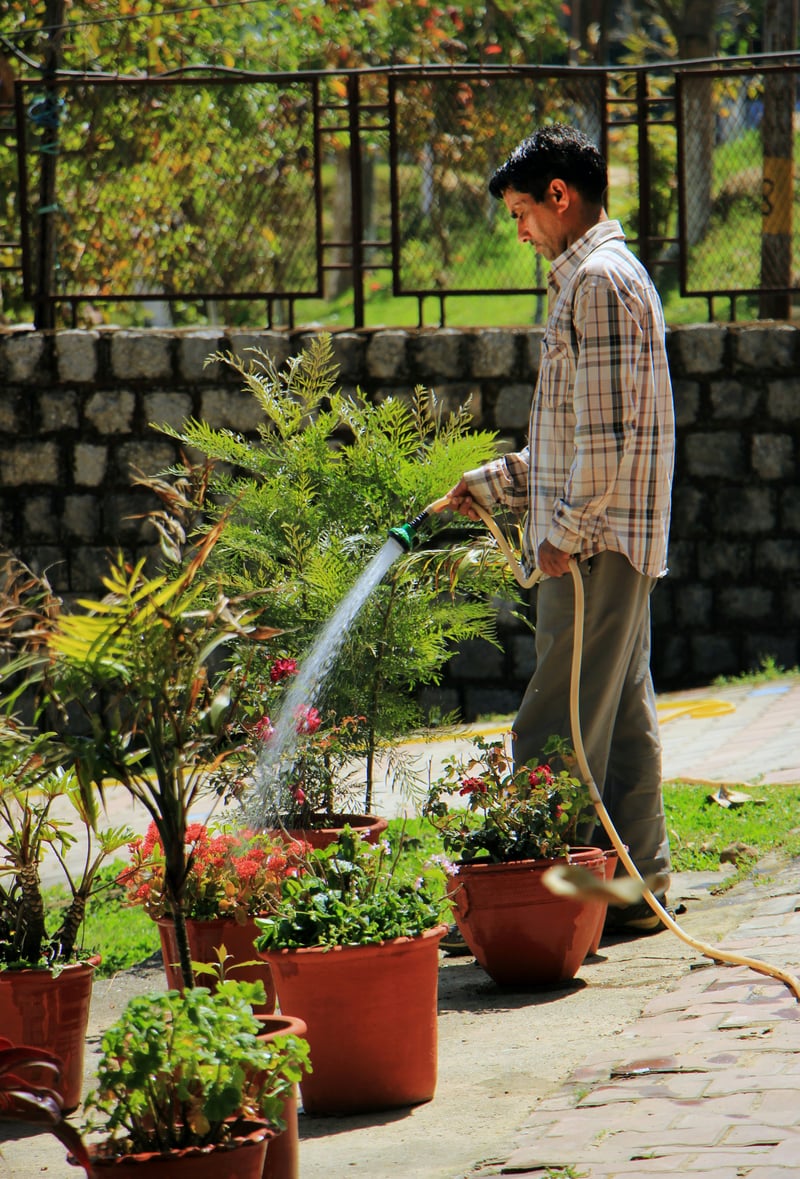 Garden Repairing Service in HCM