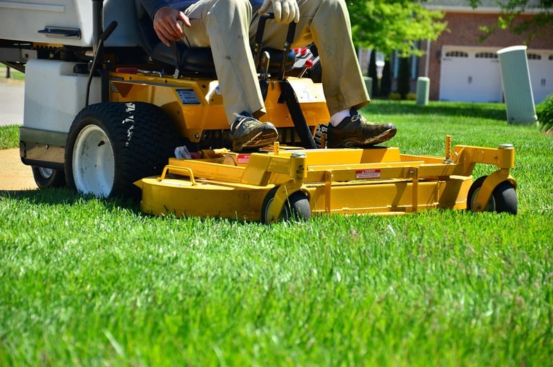 Grass Maintenance Service in HCM