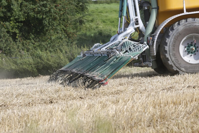 Fertilization Service in HCM