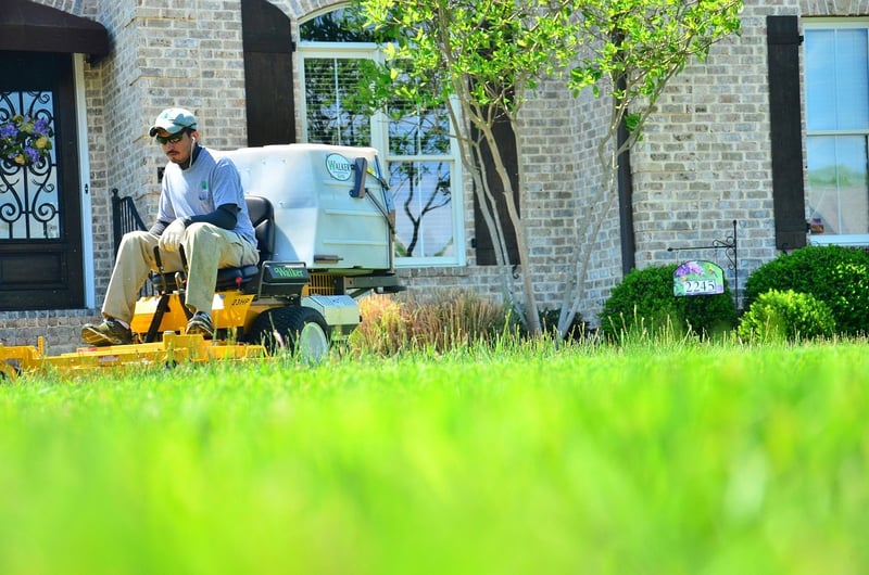 Lawn Mowing Service Near Me in HCM
