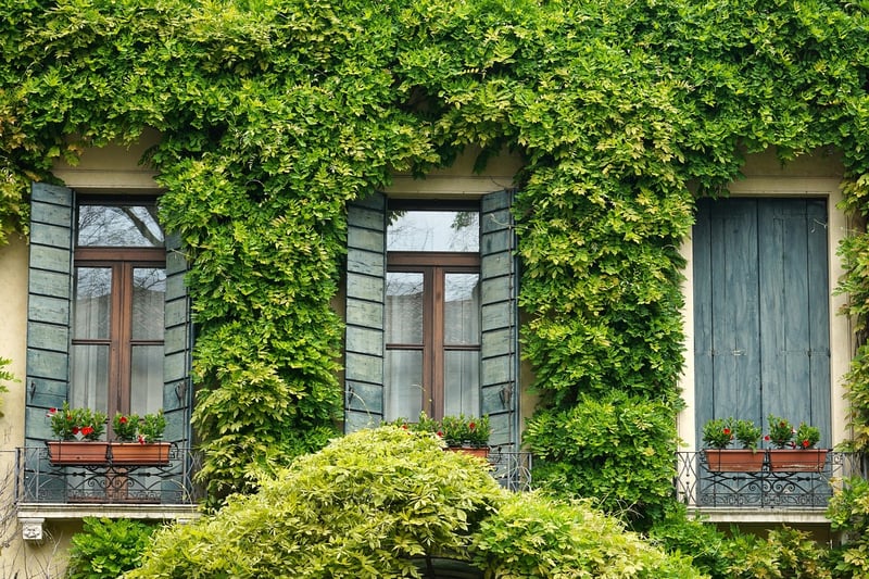 Eco-Friendly Balcony Cleaning Service in HCM