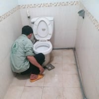 Thông cống n
