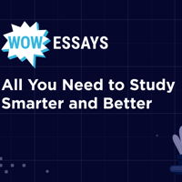 WOWEssays.co