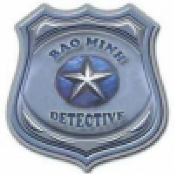 Bảo Minh Private Investigator