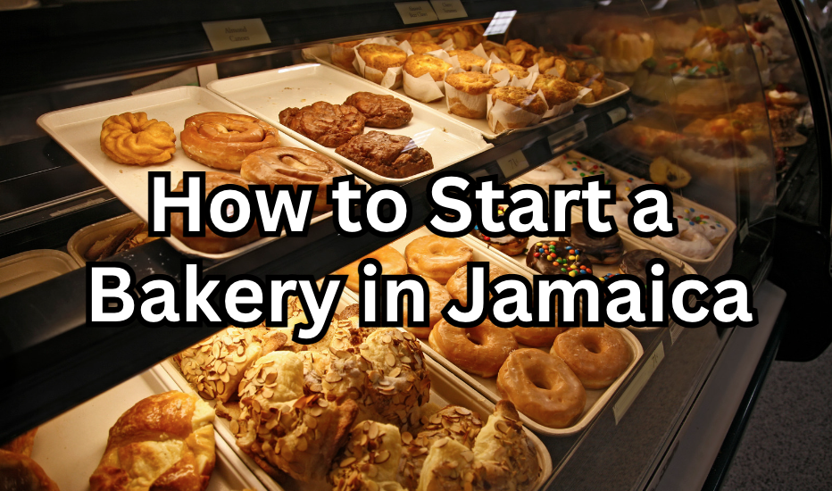 How to Start a Bakery in Kingston, Jamaica Brawta List