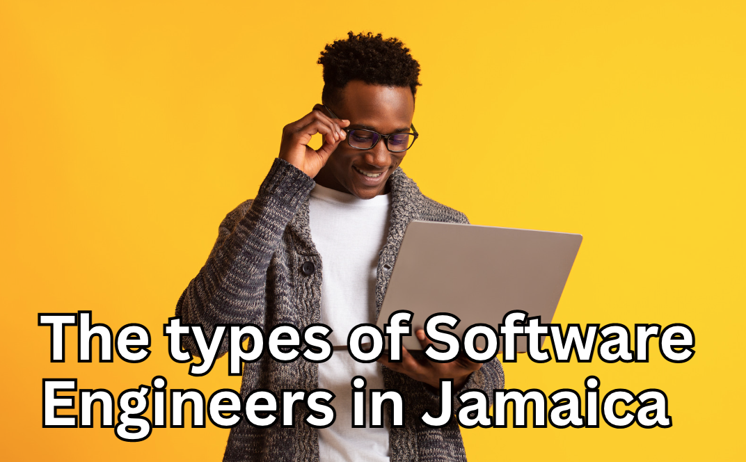 The types of Software Engineer specialities in Jamaica, and their