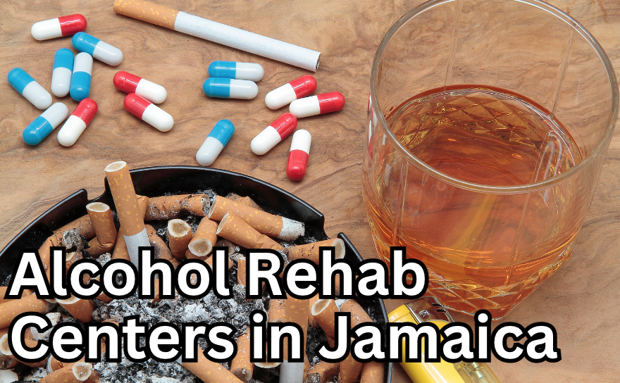Top 6 Alcohol Rehab Centers in Jamaica Treatment and Support for
