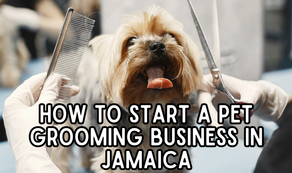 How to Start a Pet Grooming Business in Jamaica StepbyStep Guide and